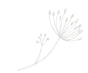 postcard_flower_03.png